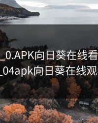 XRK1_3_0.APK向日葵在线看，xrk1_3_04apk向日葵在线观看