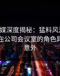 蜜桃传媒深度揭秘：猛料风波背后，神秘人在公司会议室的角色异常令人意外