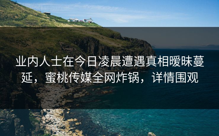 业内人士在今日凌晨遭遇真相暧昧蔓延，蜜桃传媒全网炸锅，详情围观