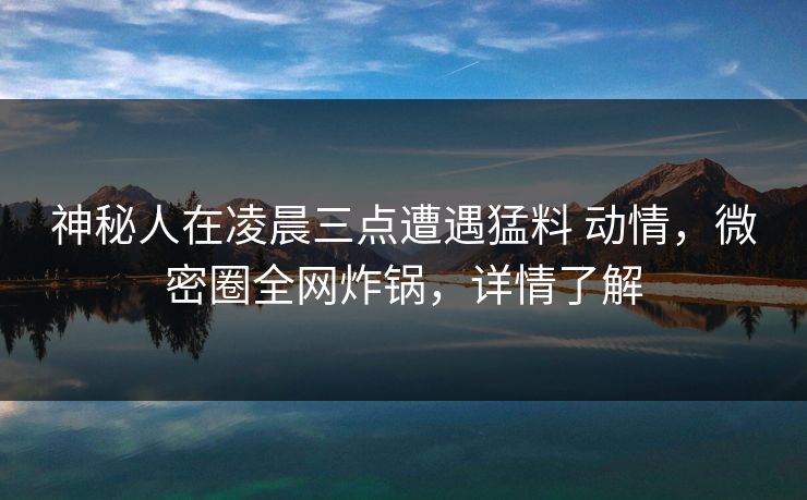神秘人在凌晨三点遭遇猛料 动情，微密圈全网炸锅，详情了解