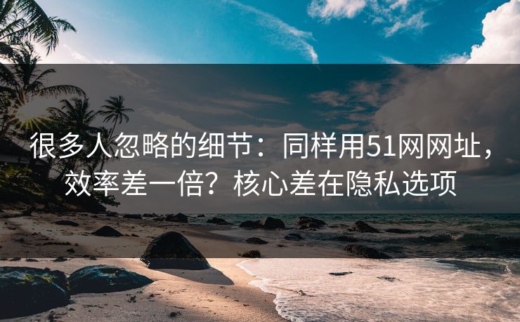 很多人忽略的细节:同样用51网网址,效率差一倍?核心差在隐私选项 很多人忽略的细节:同样用51网网址,效率差一倍?核心差在隐私选项