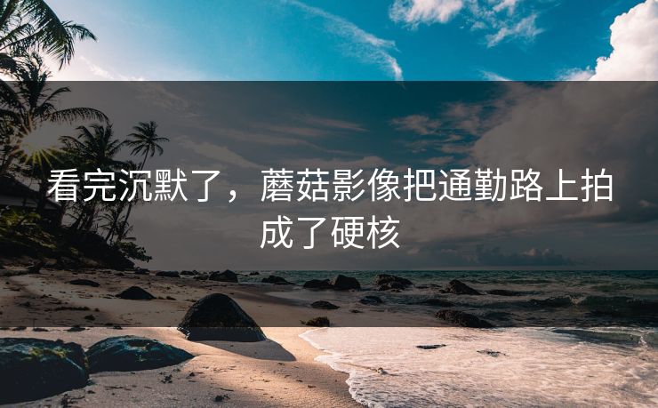 看完沉默了,蘑菇影像把通勤路上拍成了硬核 看完沉默了,蘑菇影像把通勤路上拍成了硬核