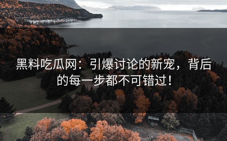 黑料吃瓜网：引爆讨论的新宠，背后的每一步都不可错过！